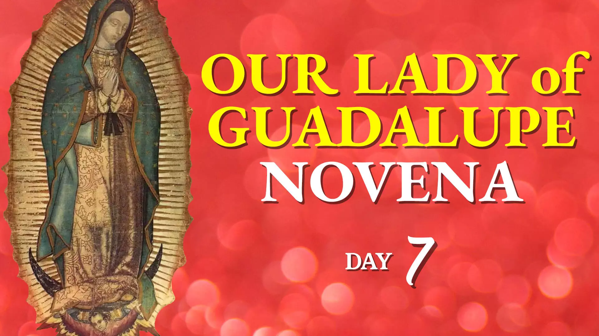 Our Lady of Guadalupe Novena Day 7